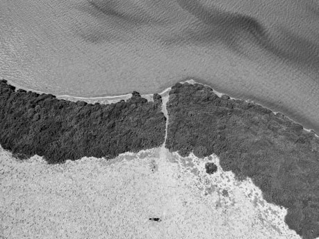 An aerial view of a coastline showing the boundary between a sandy beach and a dense forest. The landscape is divided diagonally, with the water forming a gentle curve along the edge of the beach.