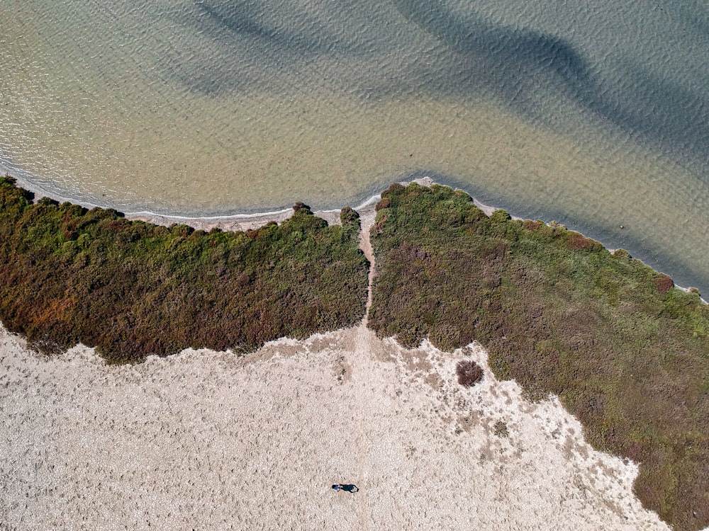 Vista aérea de uma praia de areia e um corpo de água