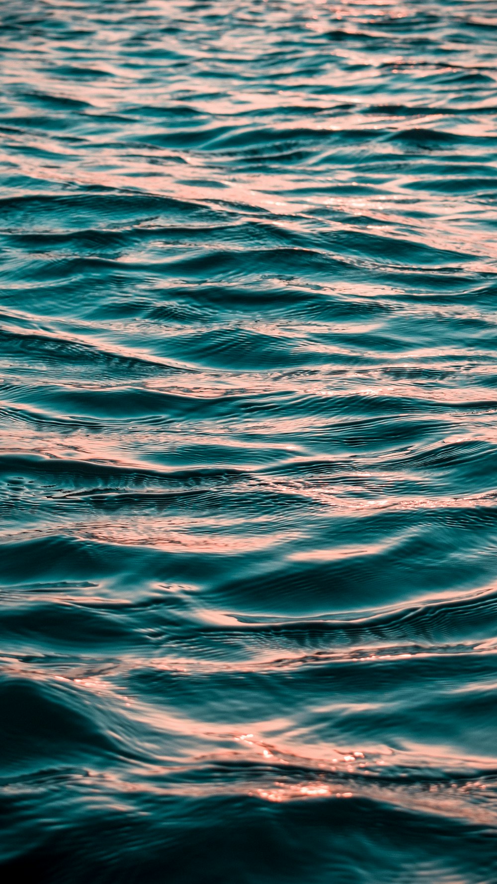 photo of ocean water