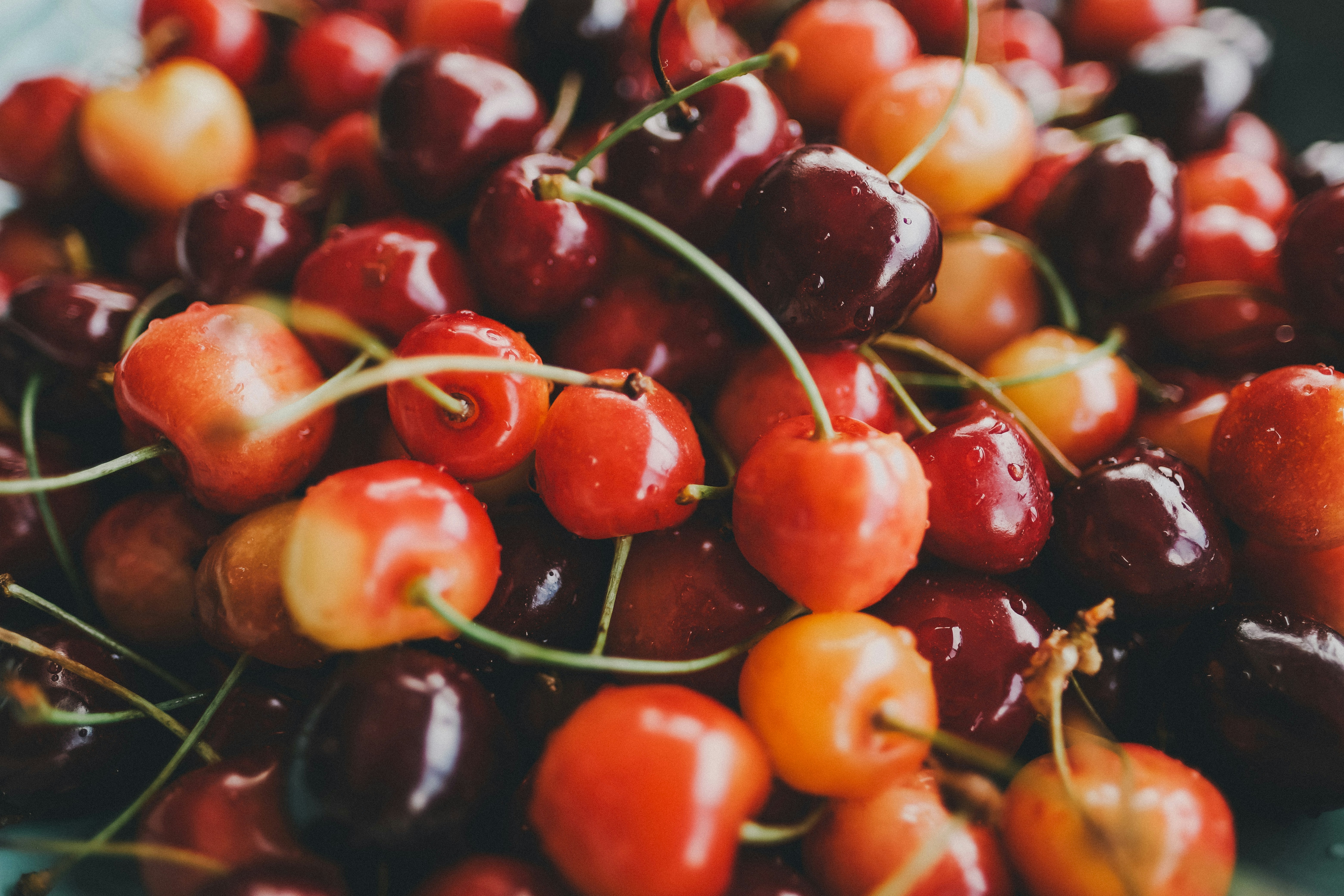 fresh produce summer, wallpaper, Keeping Food Fresh: A Guide for Extreme Heat 5