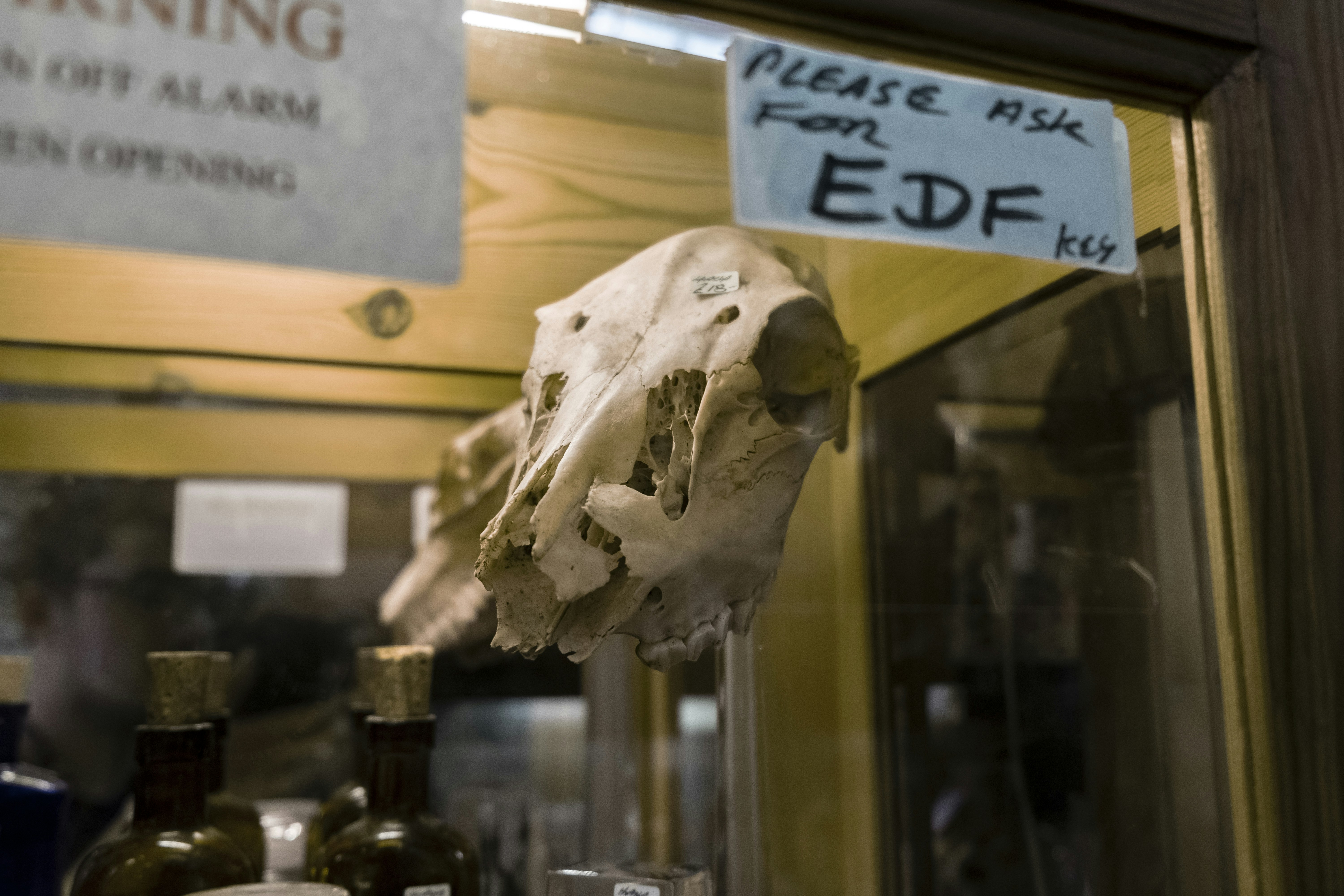 Scientific Impact and Research (image credits: unsplash)