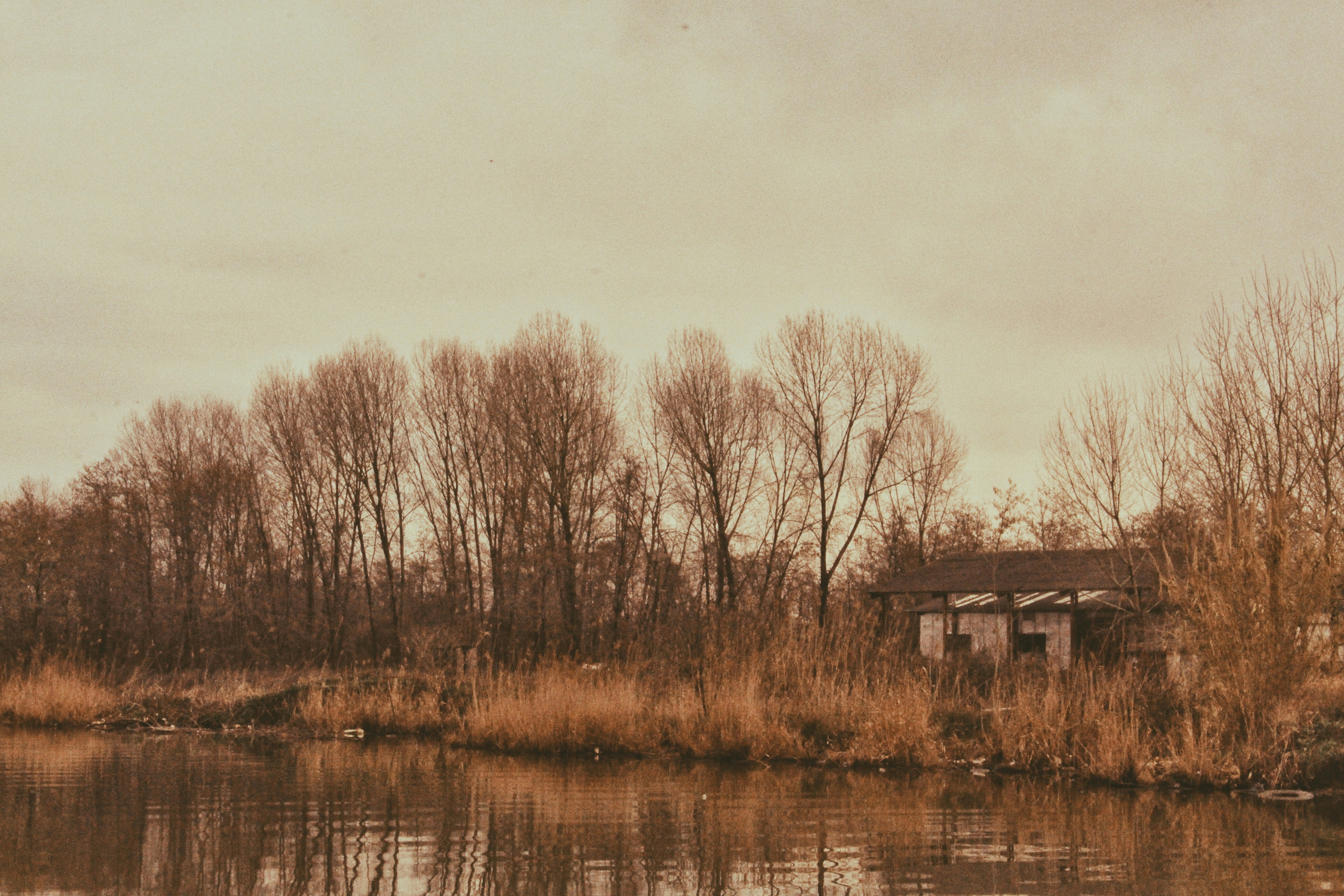 Photo by blueniloufar