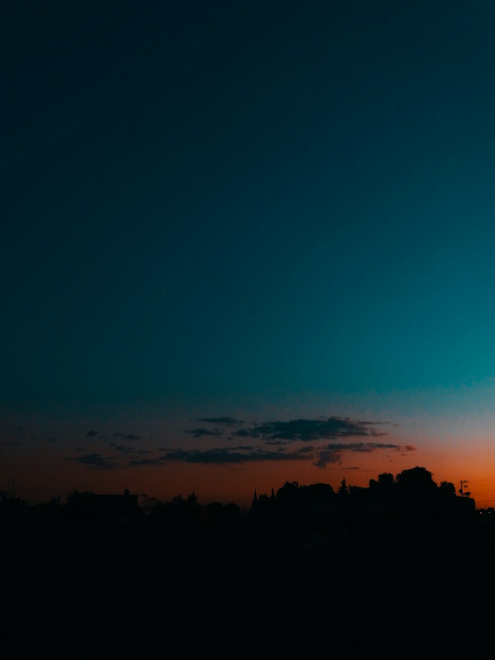 silhouette of trees under blue and orange skies