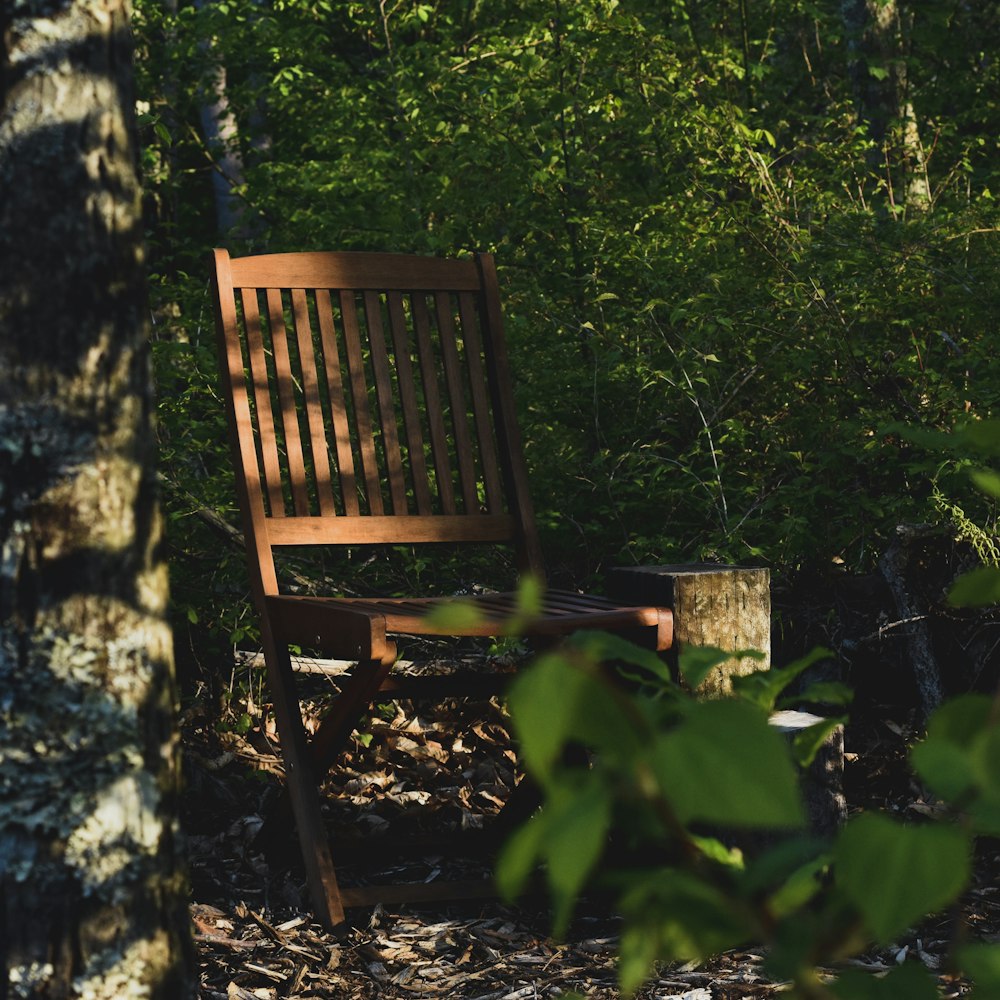 brown wooden chair surrounded by trees and plants