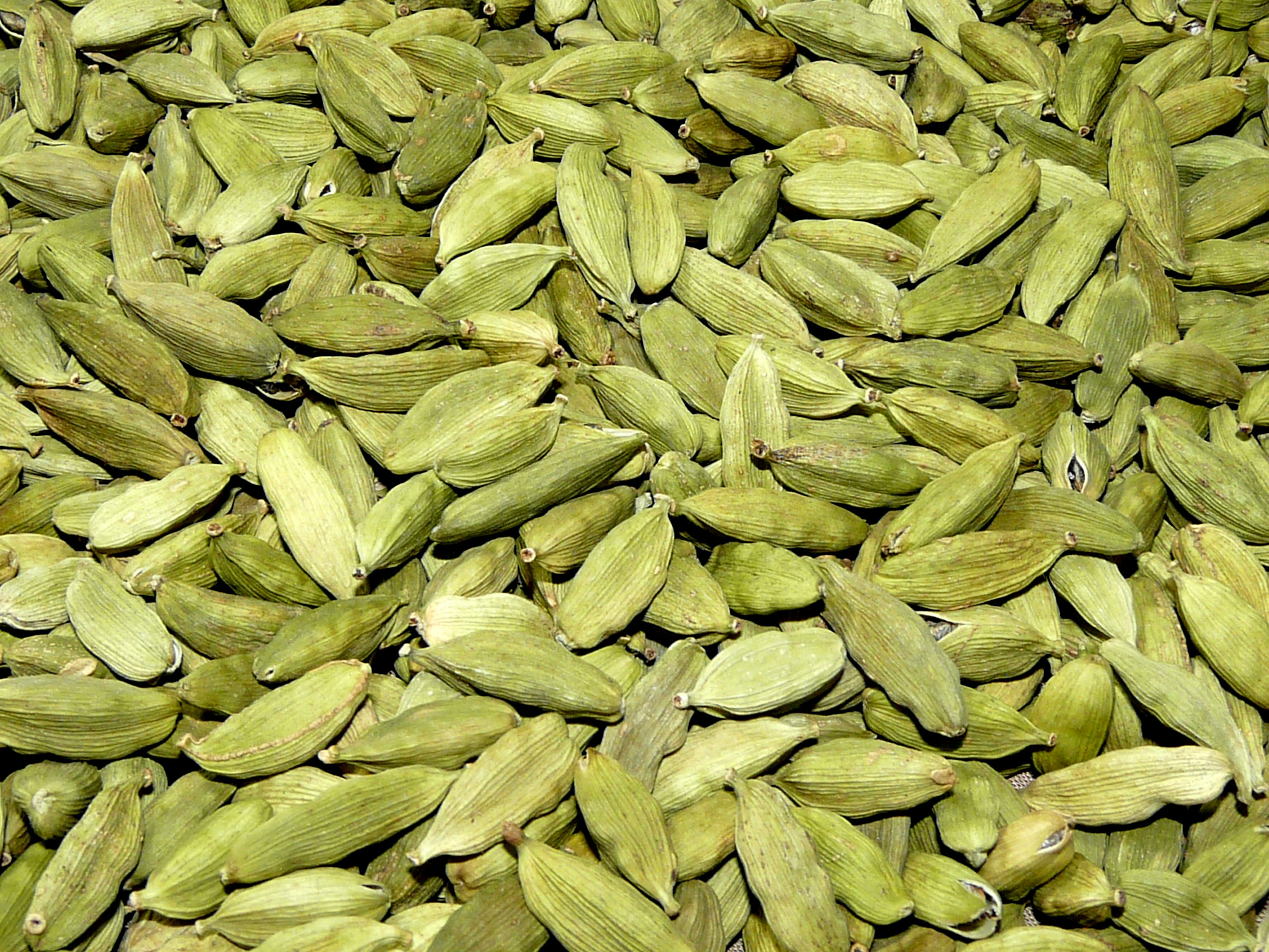 Green Cardamom (Elettaria cardamomum)