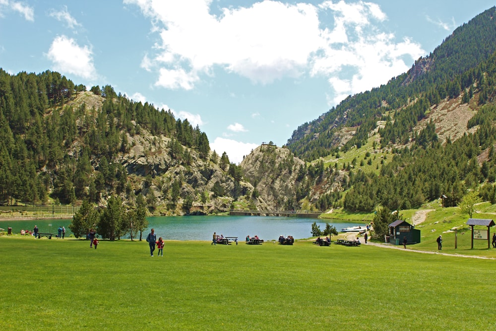 lake in forest