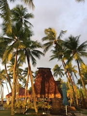 A cozy tropical bungalow surrounded by lush palm trees at sunset.
