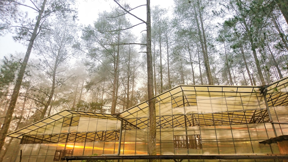 white and brown canopy tent