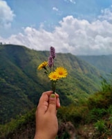 A close-up of hands holding freshly picked wildflowers against a backdrop of rolling hills.