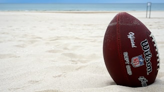 brown Wilson football on sand