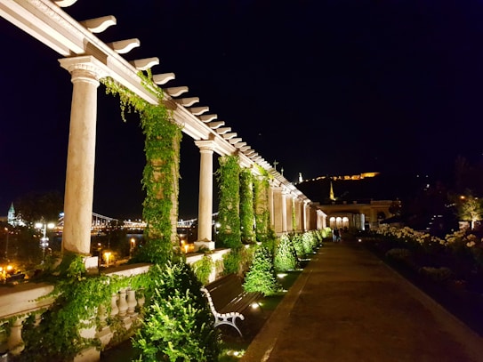 A nighttime scene of a beautifully lit pergola lined with lush greenery and illuminated with ambient lighting. A pathway stretches alongside the structure, flanked by neatly trimmed bushes. In the background, a bridge and distant cityscape are visible.