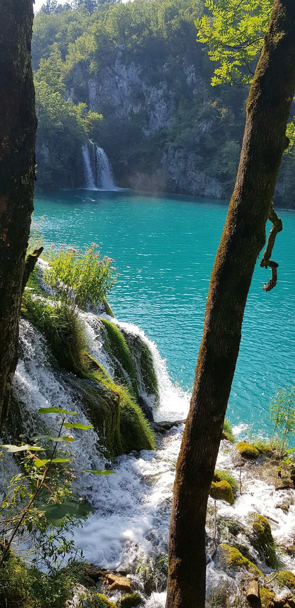 waterfalls near mountain and trees