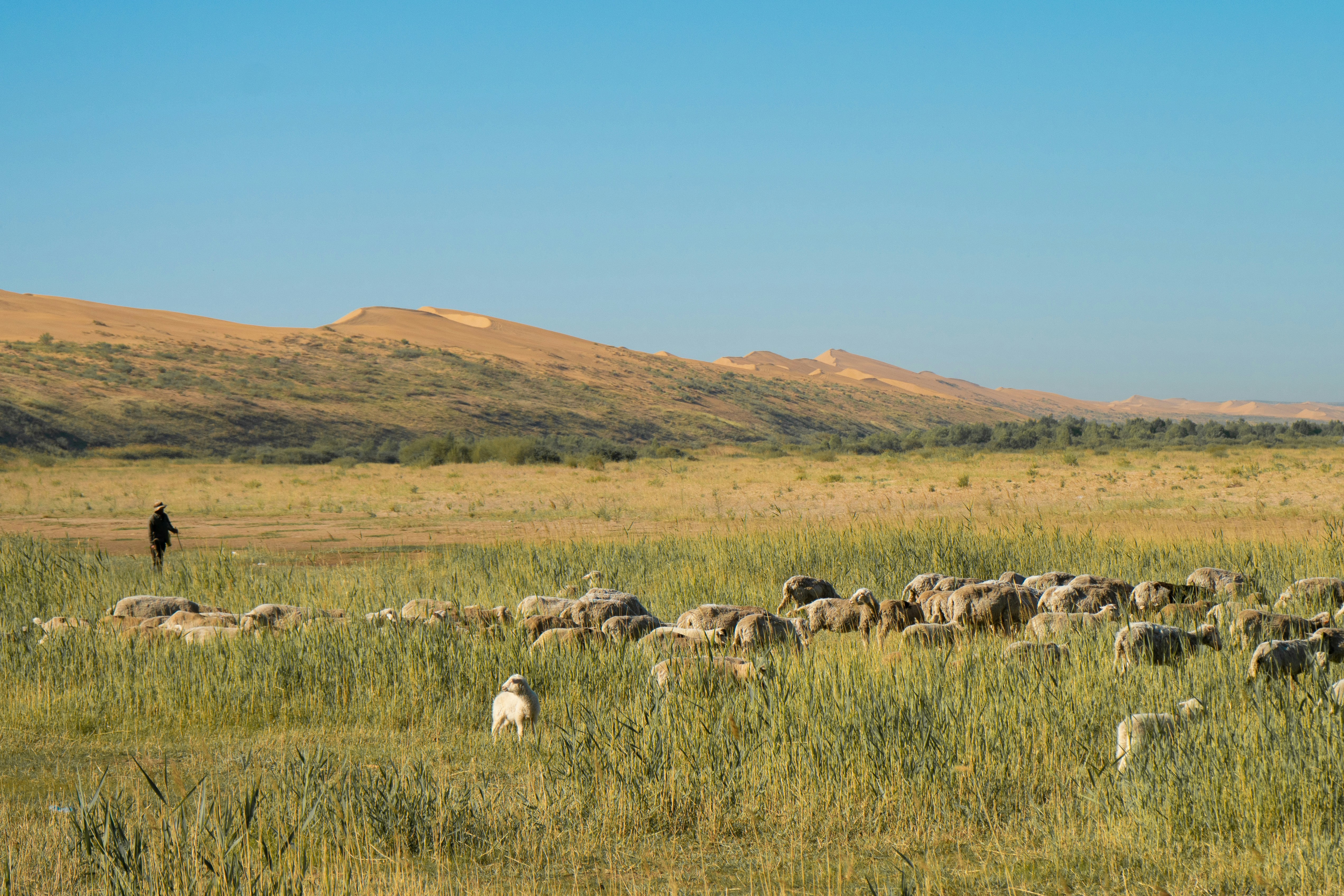 Photo by juniperphoton