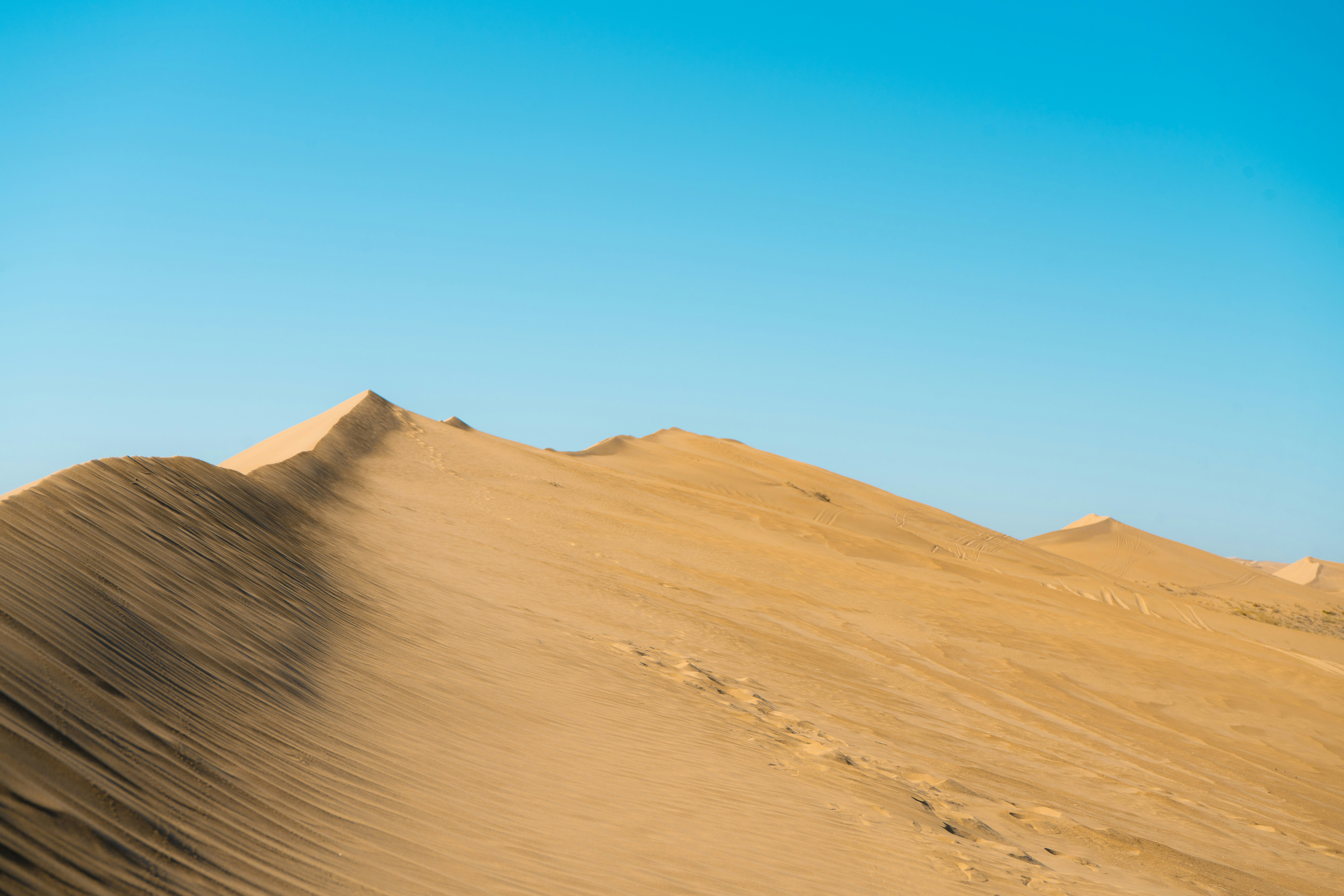 Photo by juniperphoton