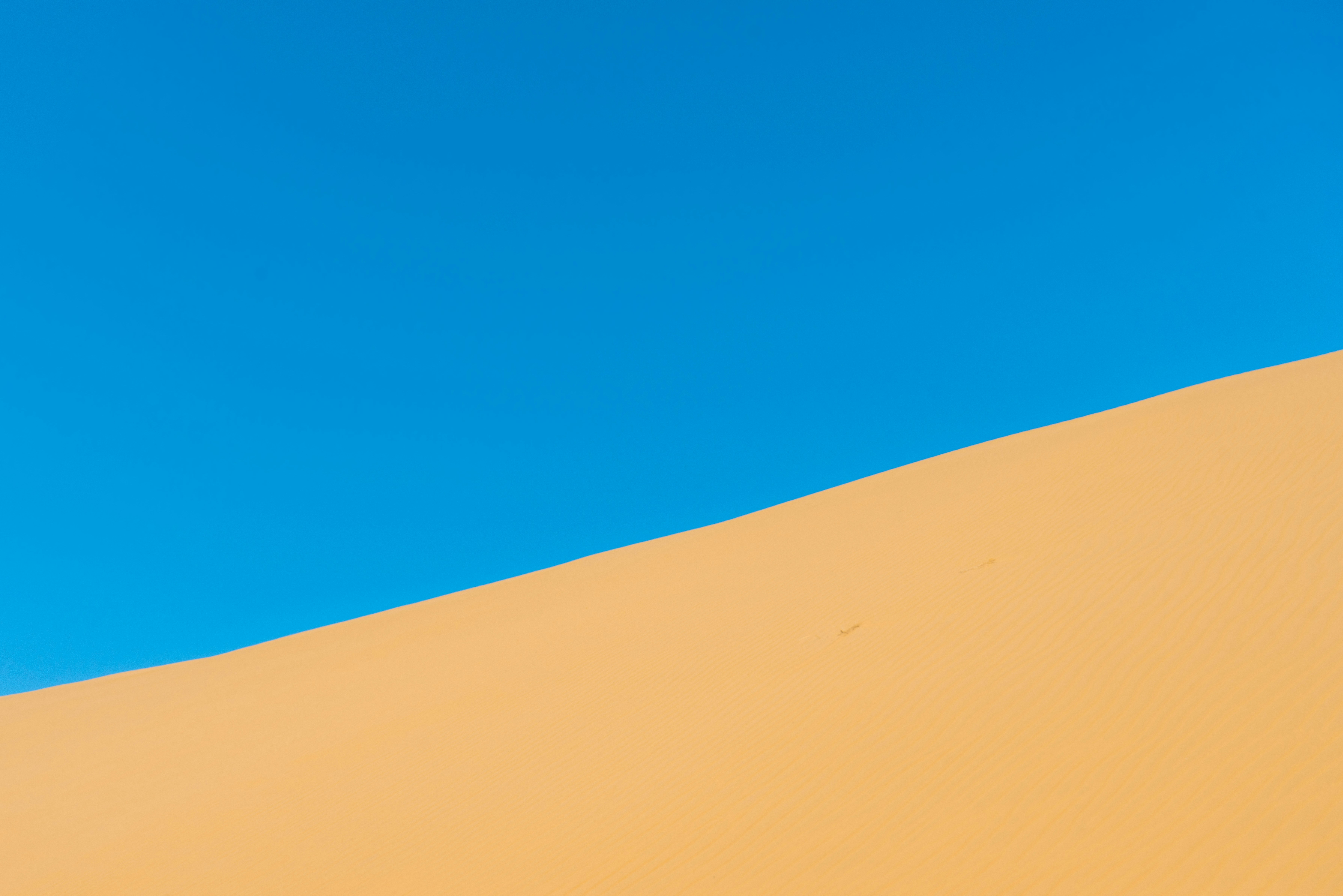 Photo by juniperphoton