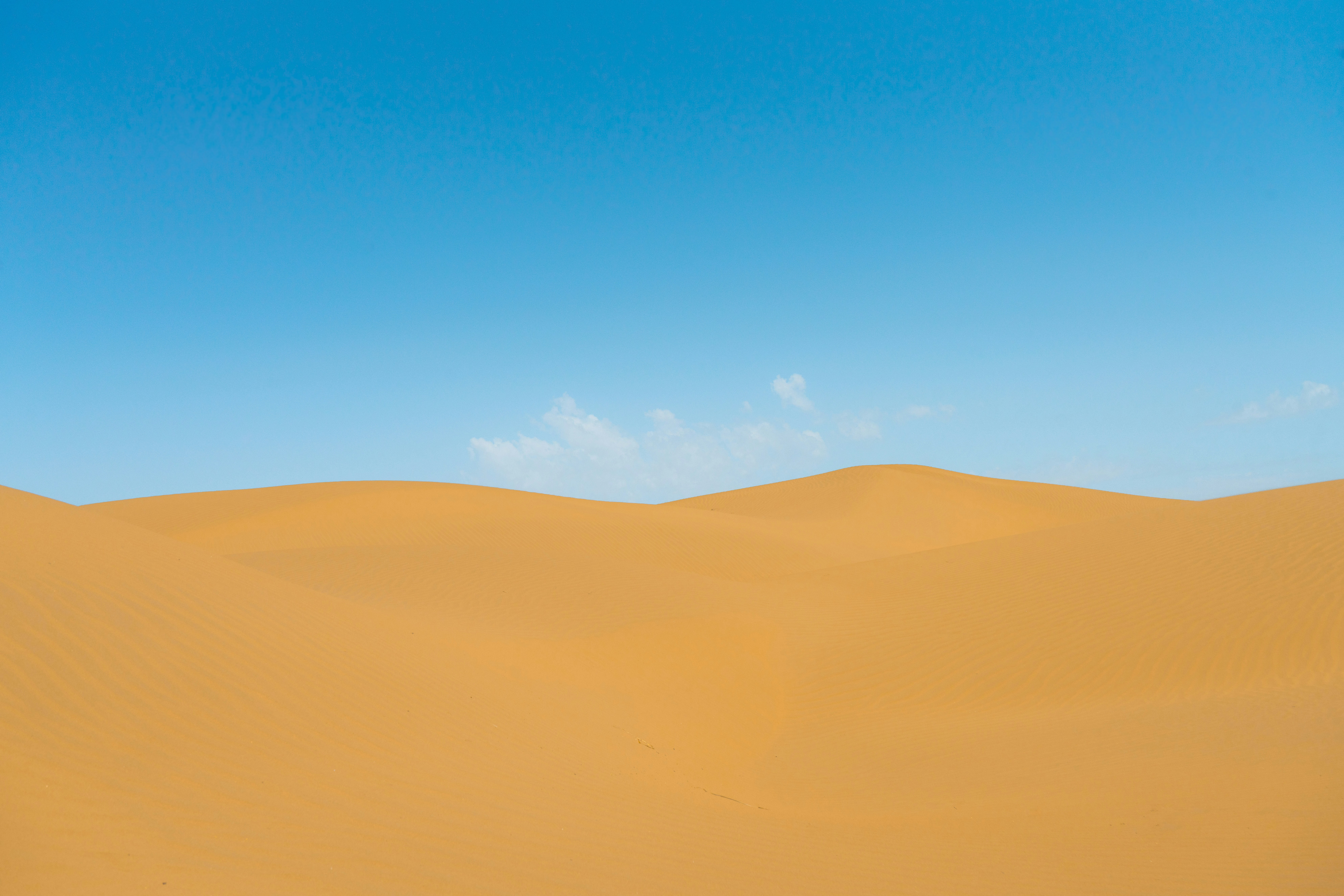 Photo by juniperphoton