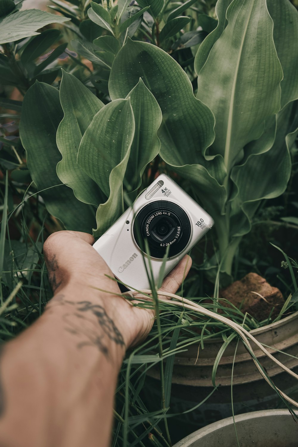 Hombre sosteniendo una cámara compacta cerca de las plantas