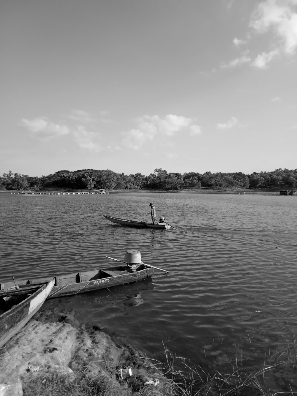 person standing on boat viewing tall trees