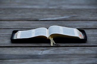 An open book displayed on a wooden surface, with visible tabs and a ribbon marker. The pages contain text in a neatly printed format.