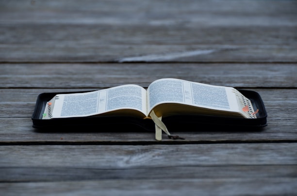 An open book displayed on a wooden surface, with visible tabs and a ribbon marker. The pages contain text in a neatly printed format.