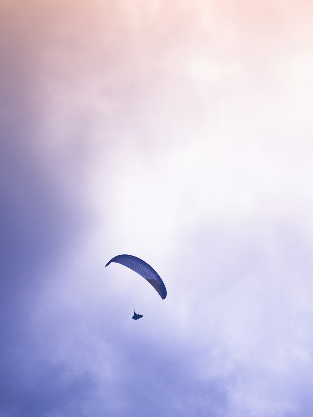 low angle photo of person paragliding