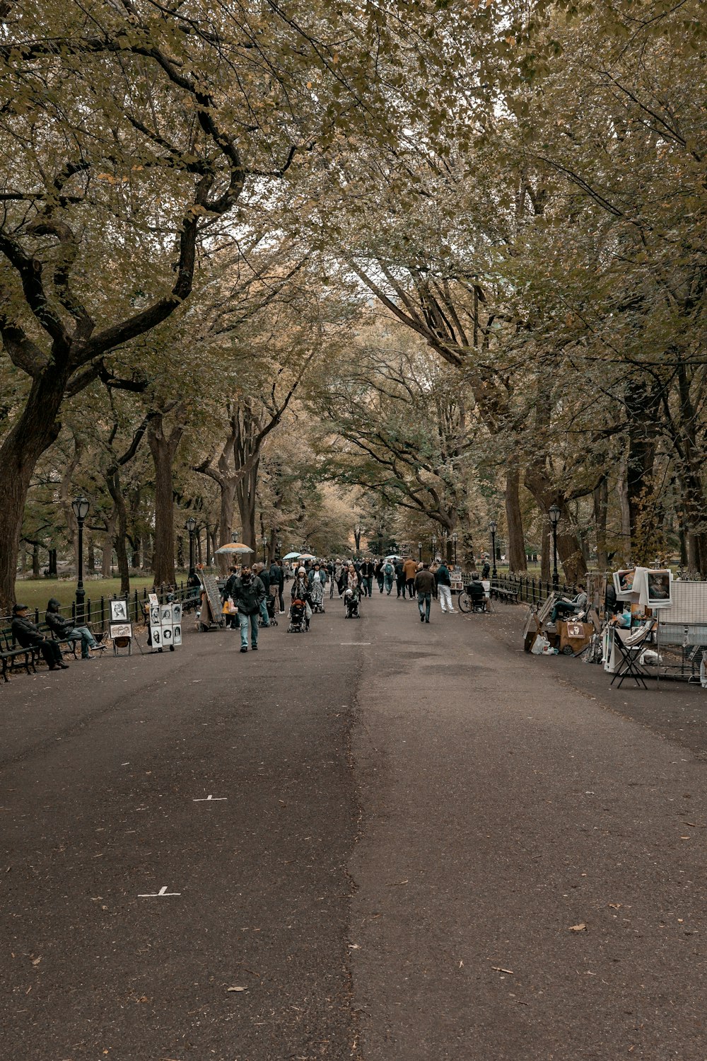 people walking near road surrounded with tall and green trees