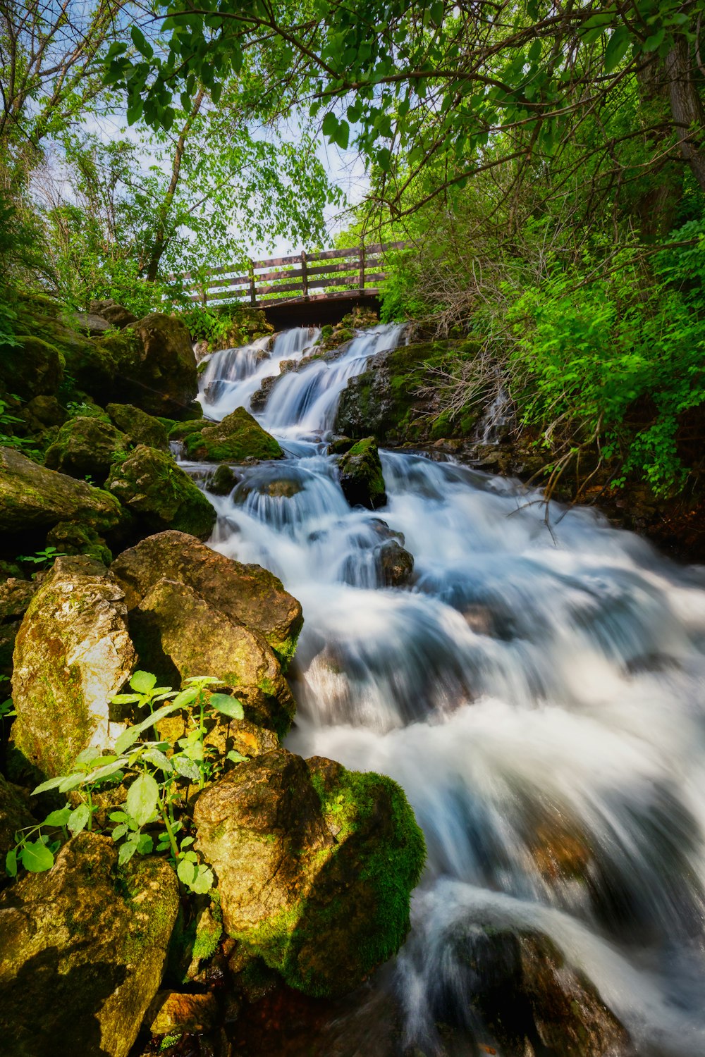 nature photography of river during daytime