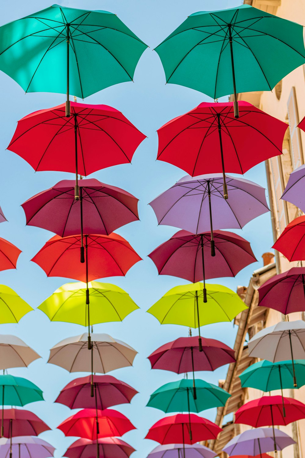 assorted-color umbrellas