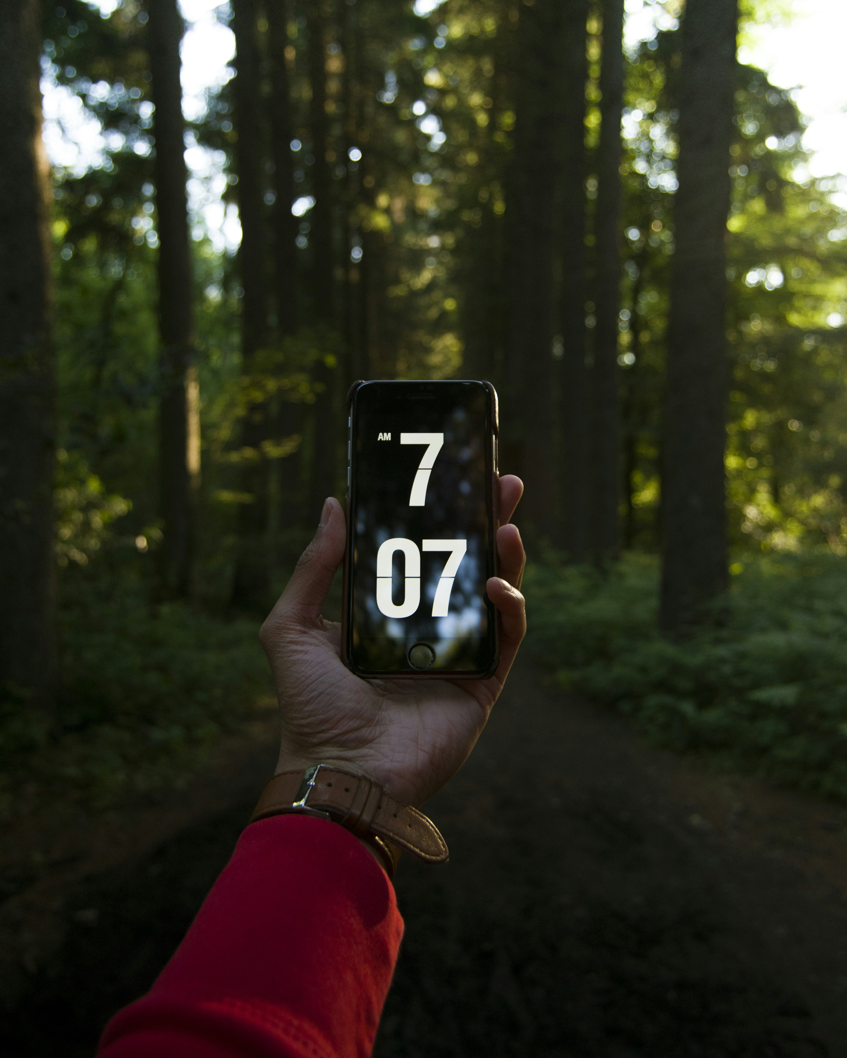 3. Optimize for Mobile