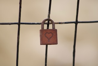 brown padlock on gray fence