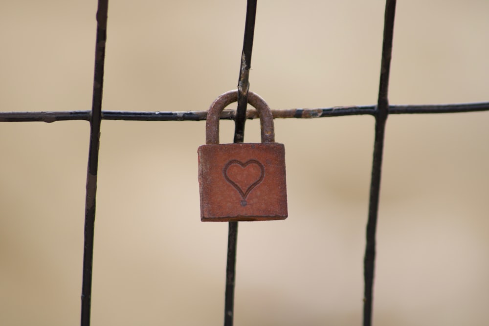 cadenas marron sur clôture grise