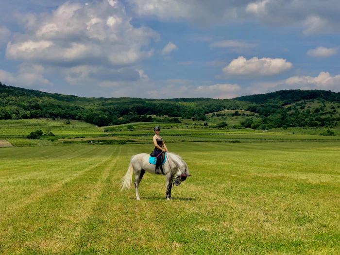 Woman riding white horse through open field