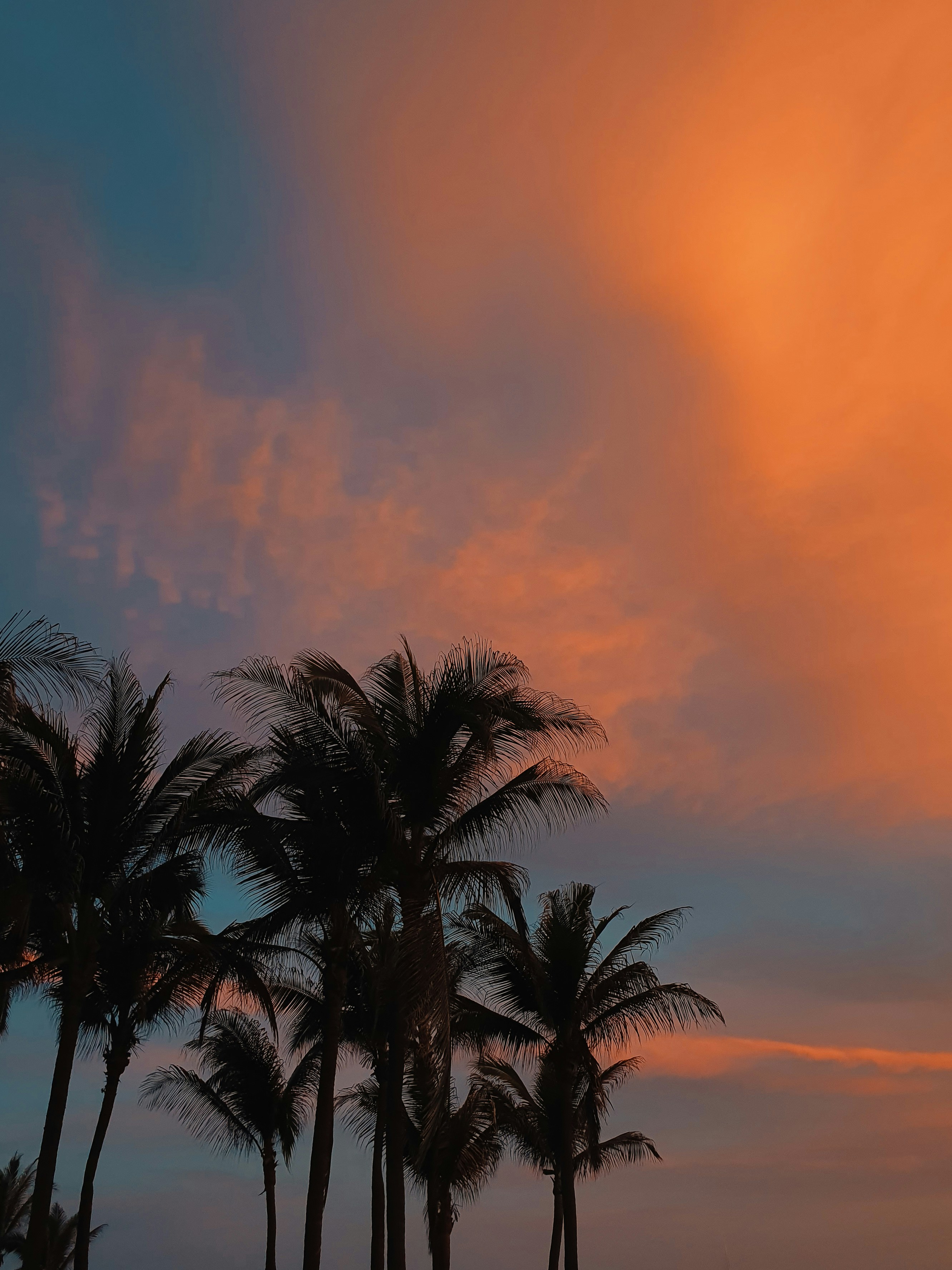 Photo by davidvillasana