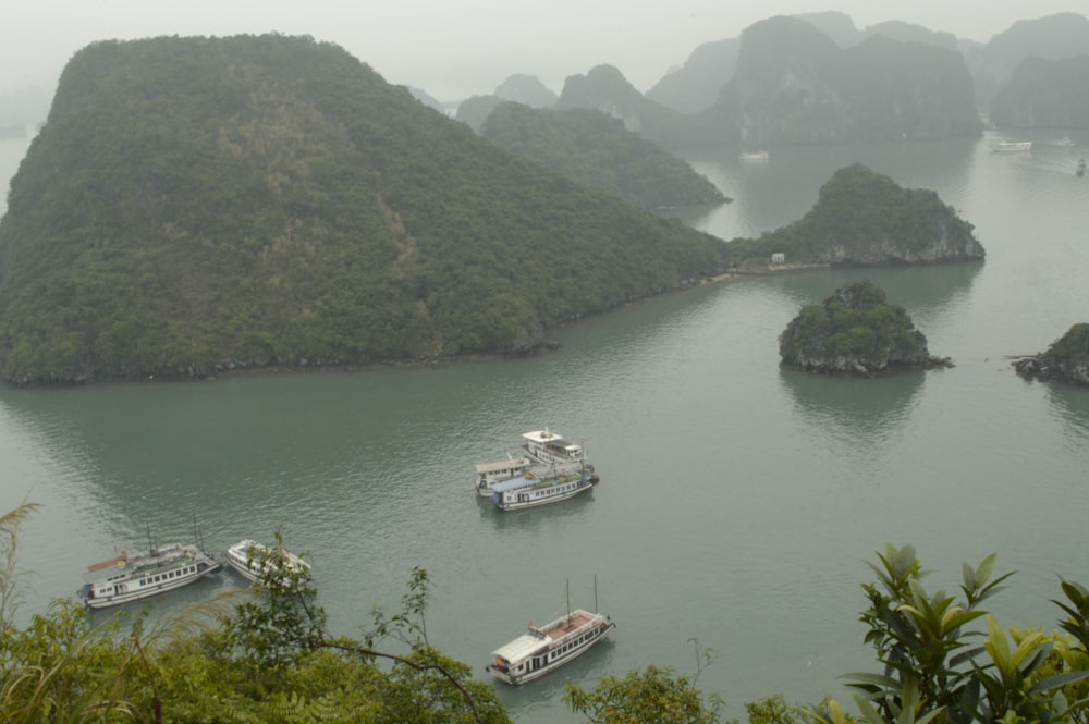 touring boats beside islets