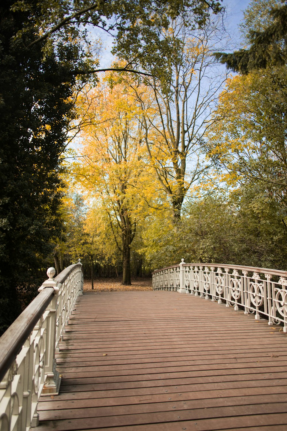 wooden bridge near trees