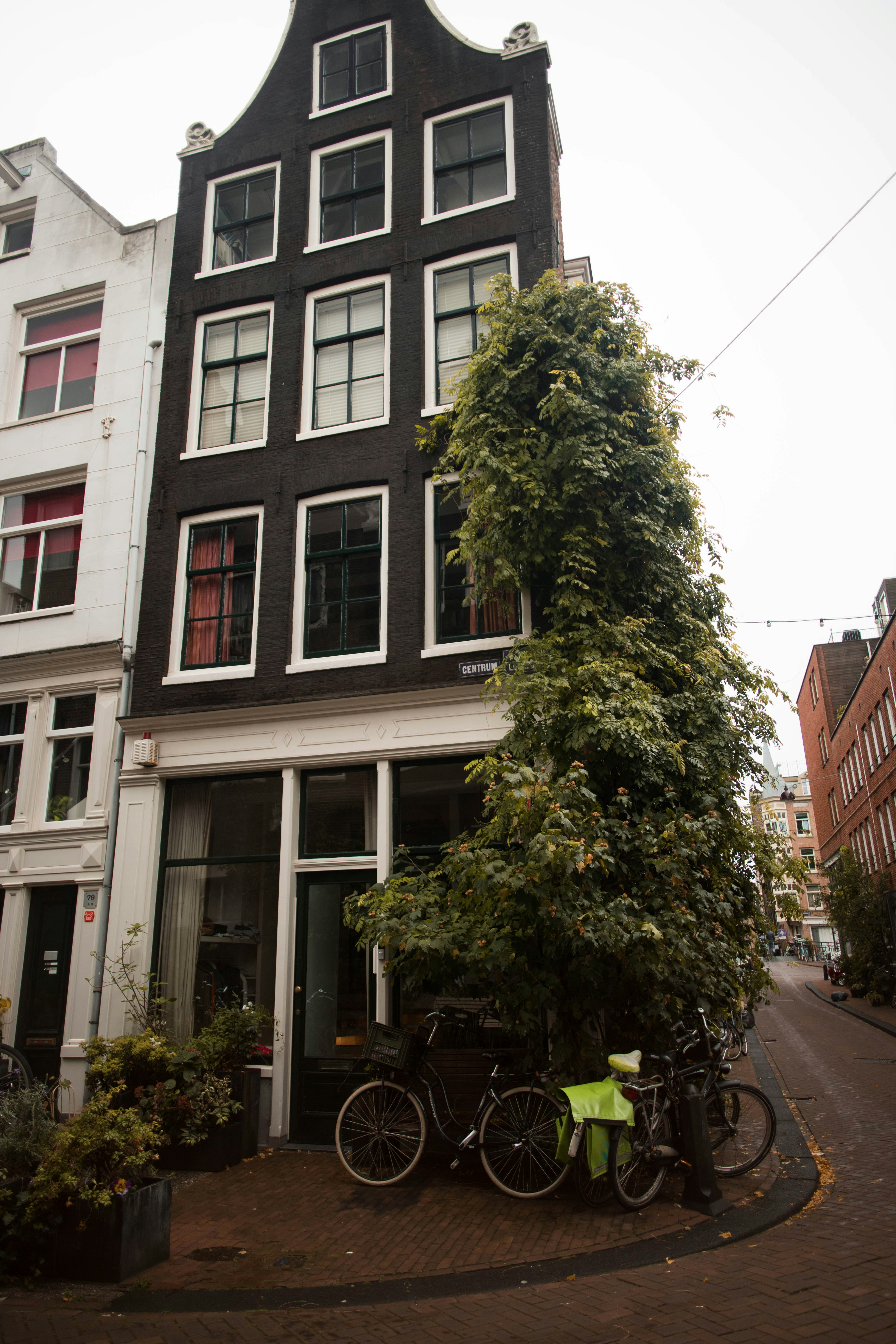 Photo by yoannlaheurte