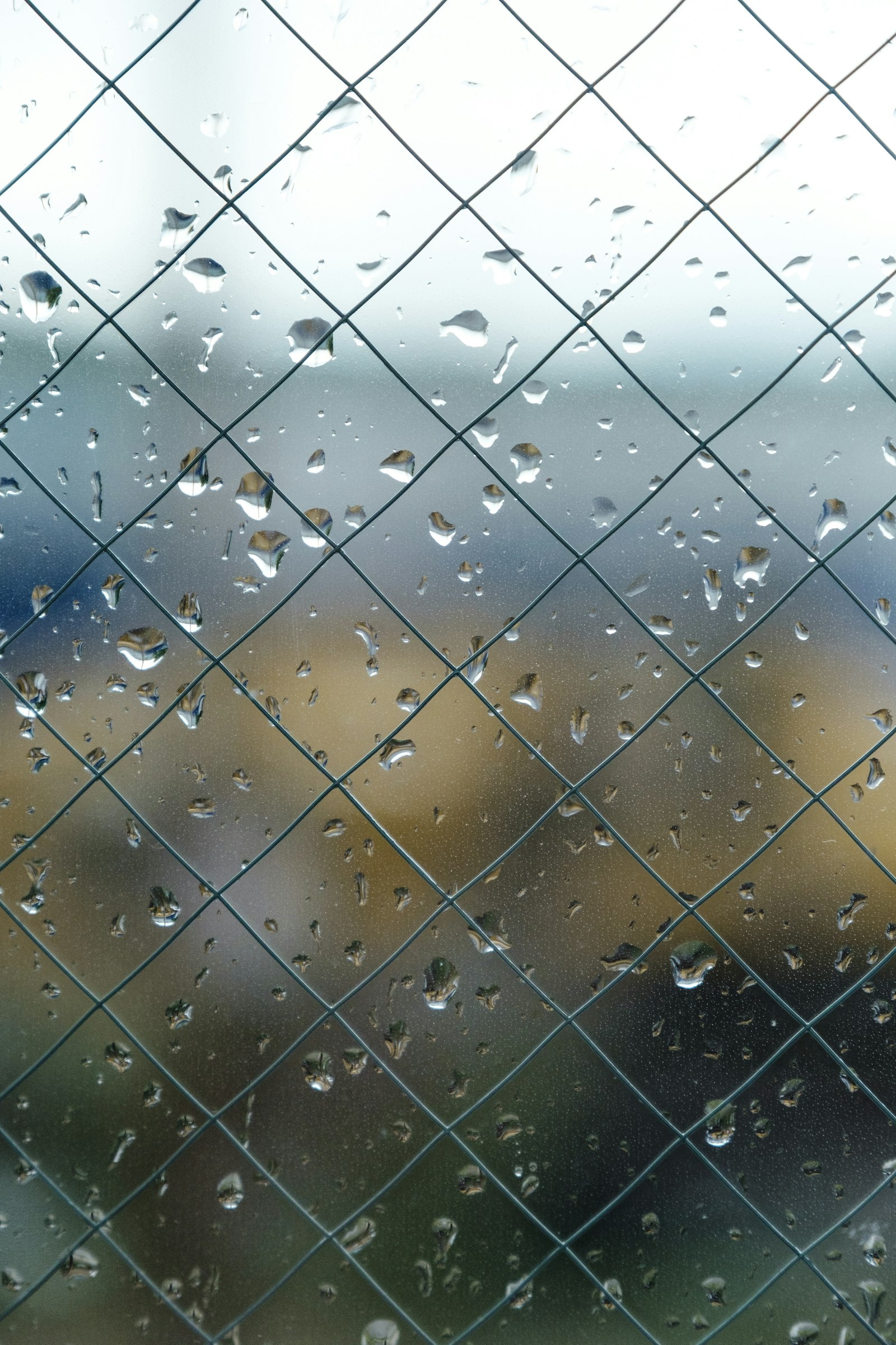 Fujifilm X-T3 + Fujifilm XF 16-55mm F2.8 R LM WR sample photo. Cyclone fence with glass photography