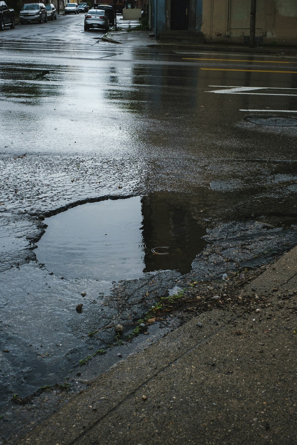 wet road close-up photography