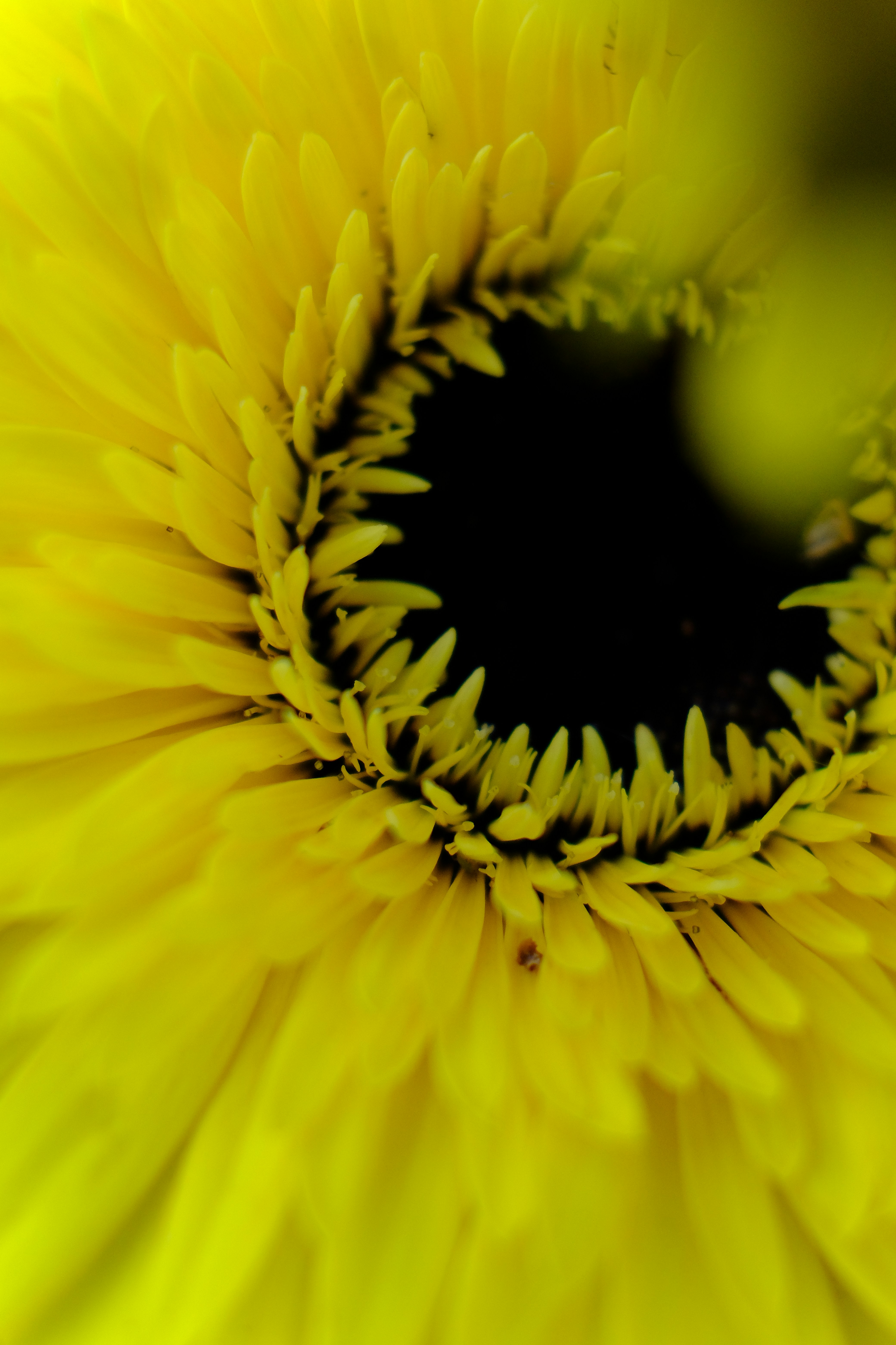 Photo by __matthoffman__