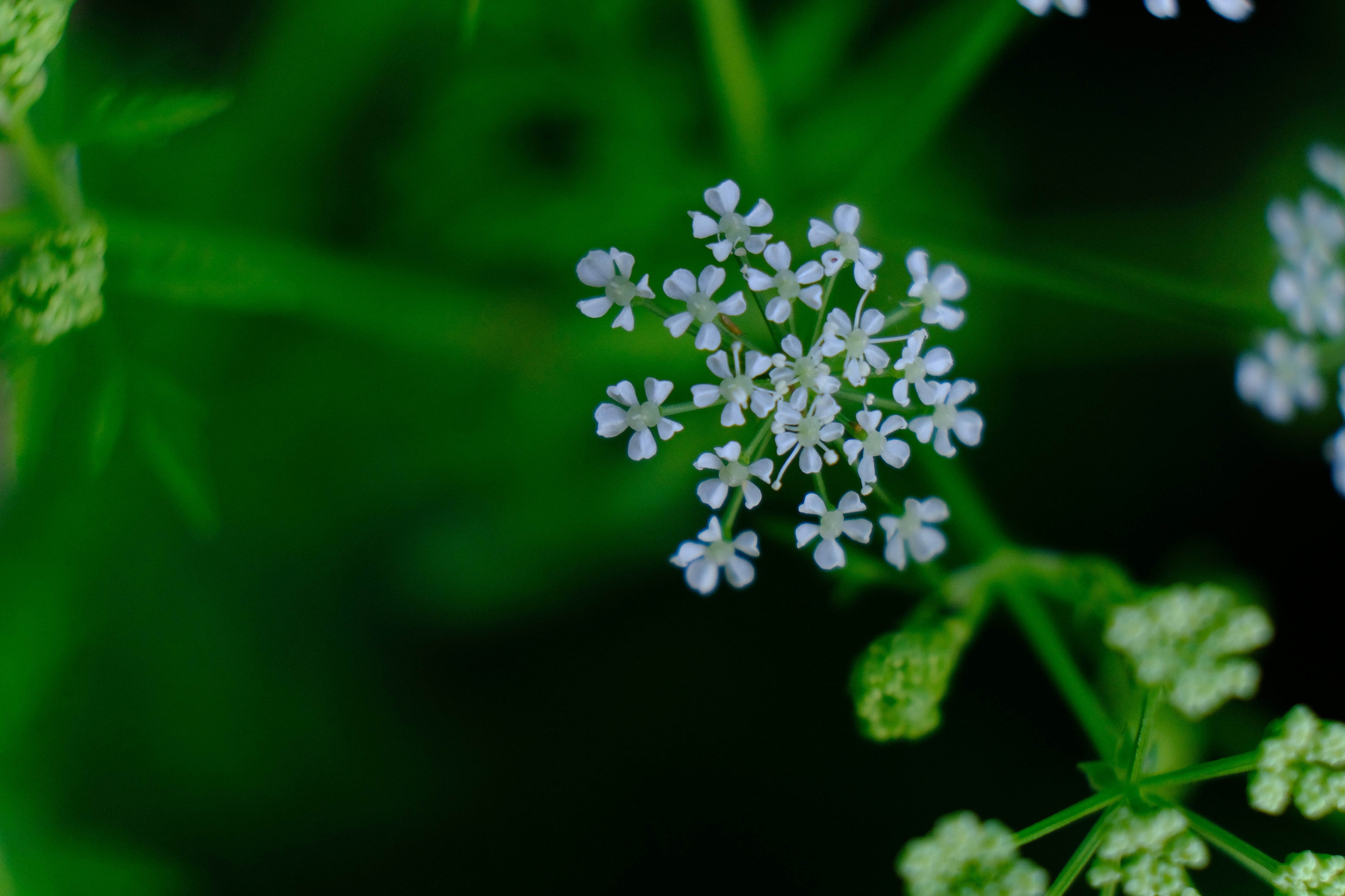 Photo by __matthoffman__