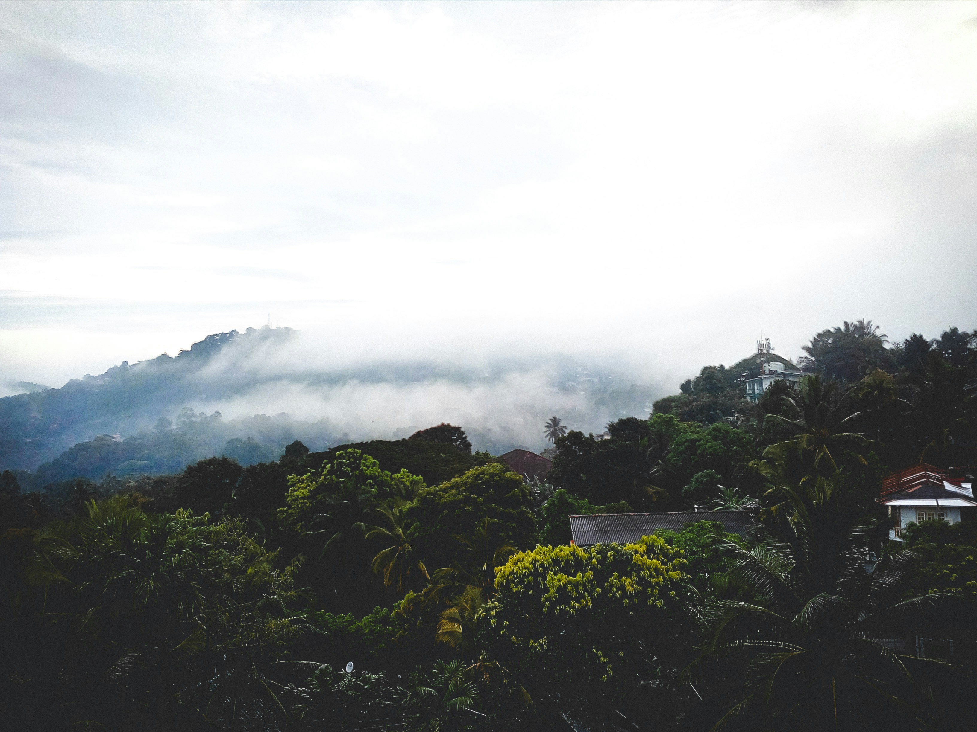 Photo by ramal_botheju_123