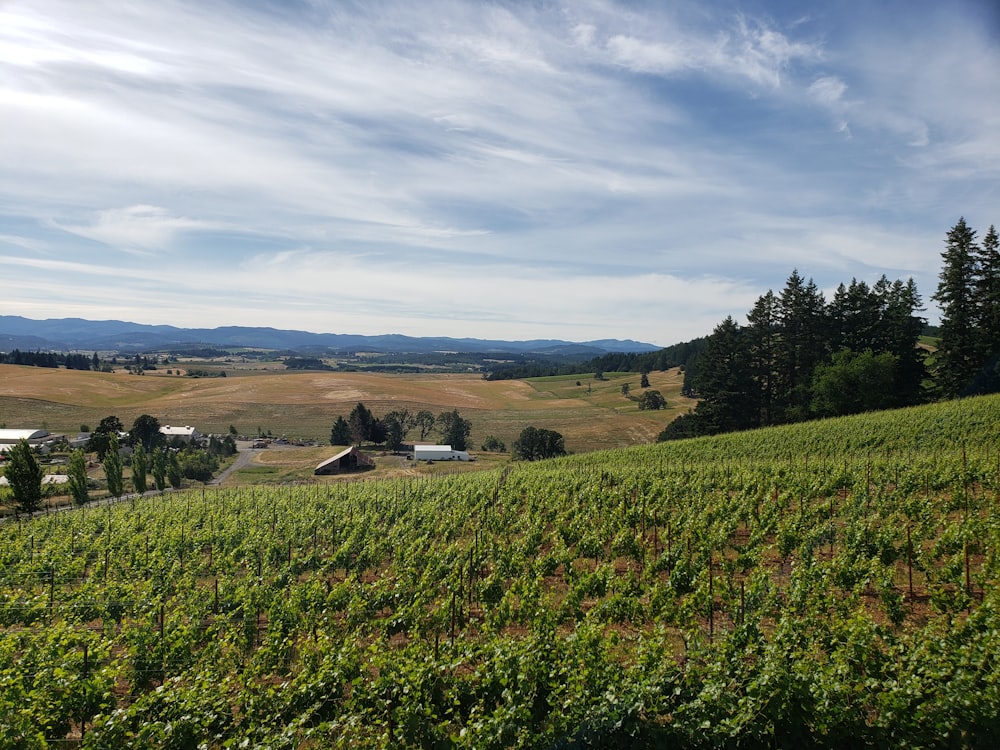 Häuser in der Nähe von Green Field