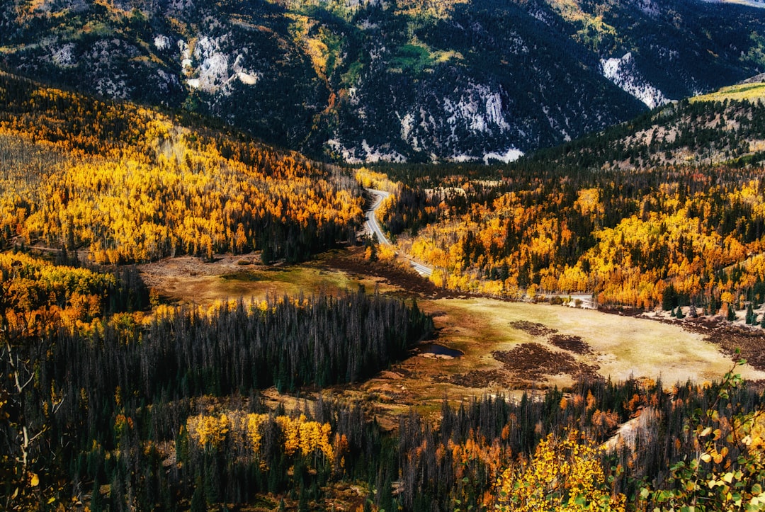 landscape photography of brown and green mountain