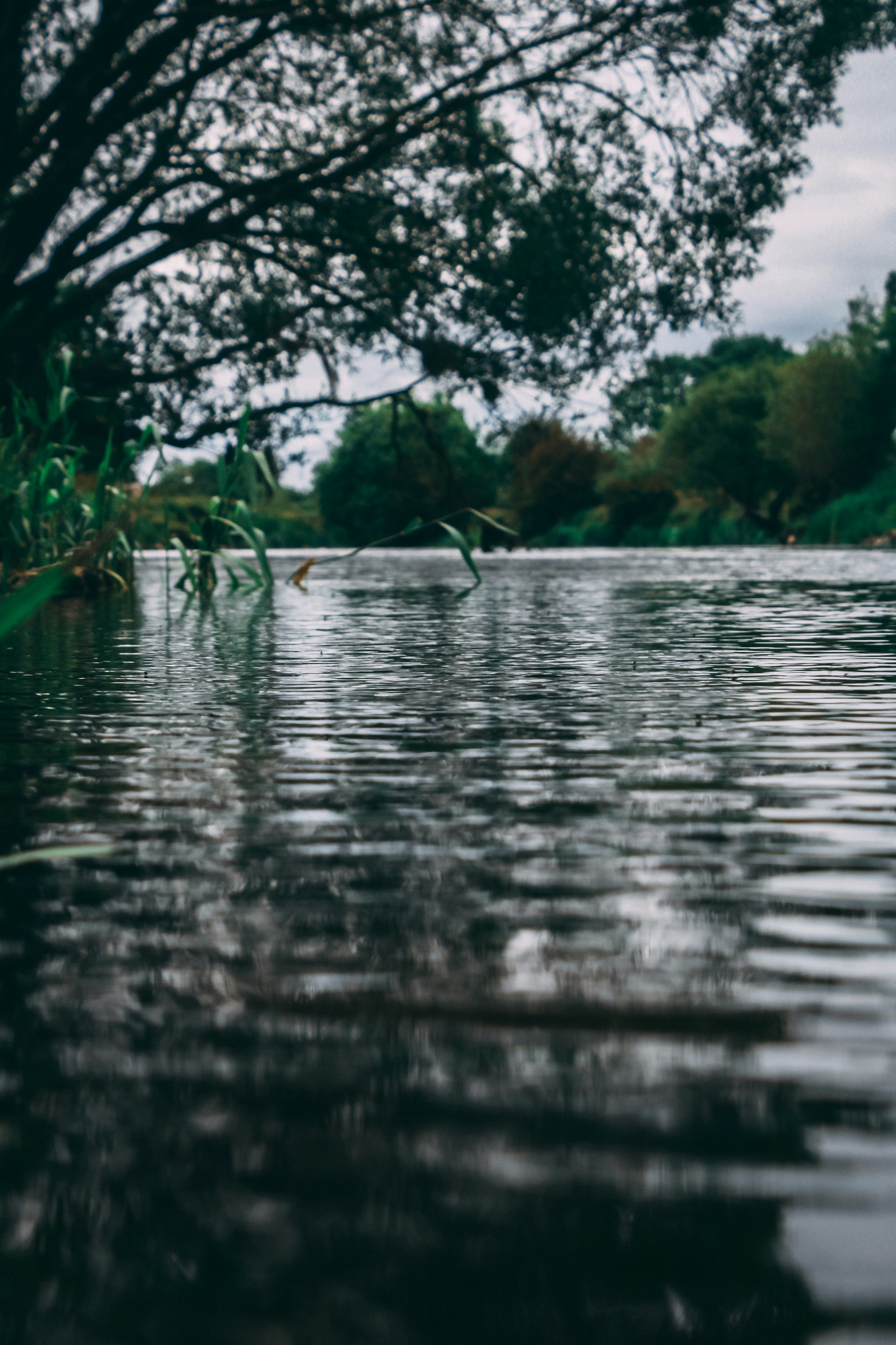 Photo by lokisprints