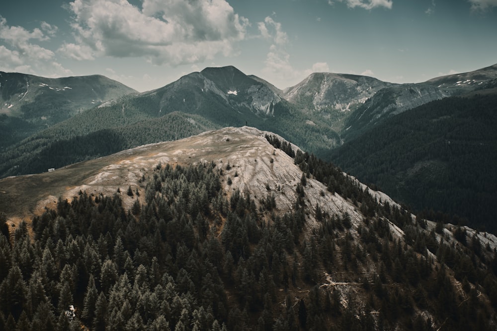 green and mountain range during daytime