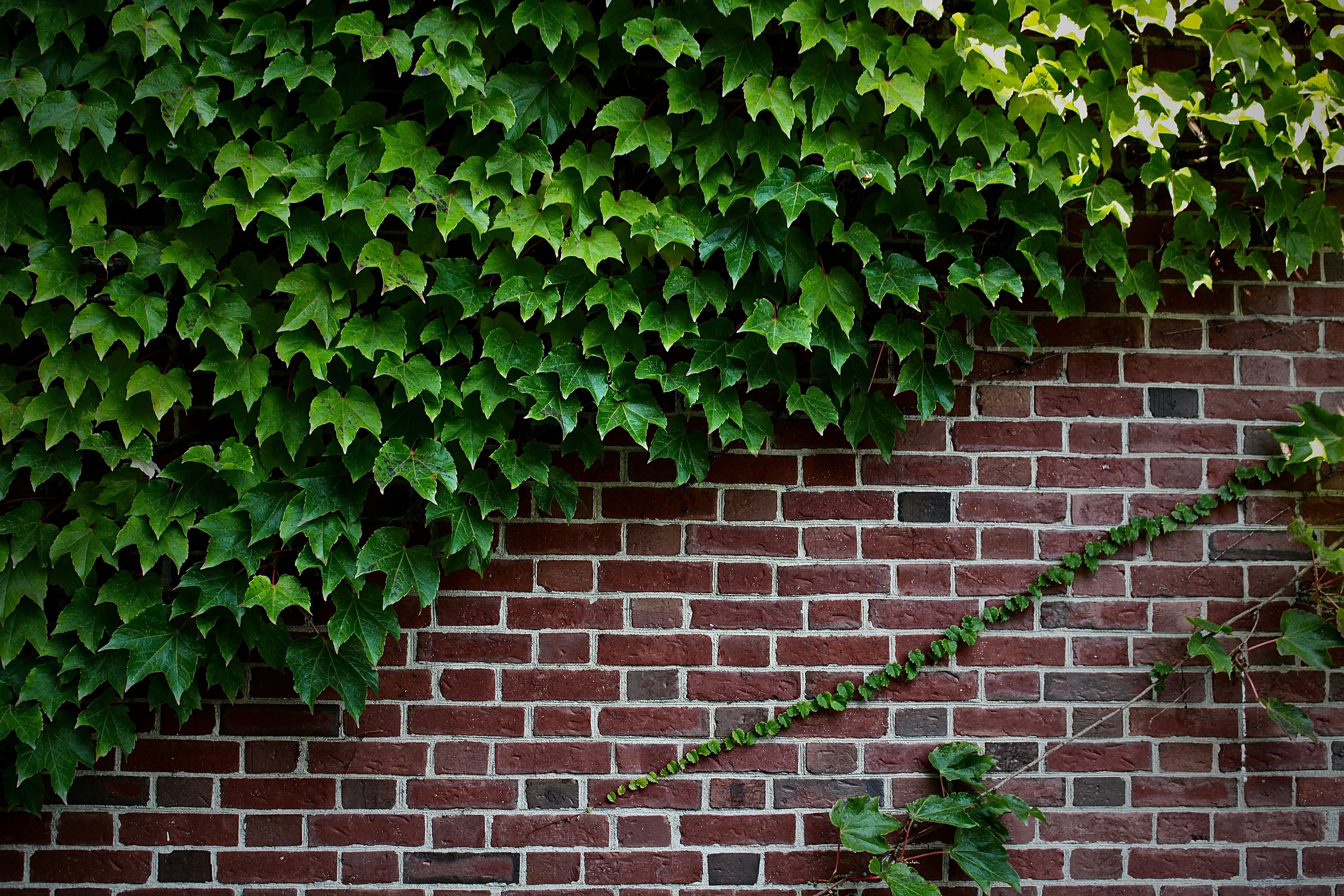 Photo by lachlancormie