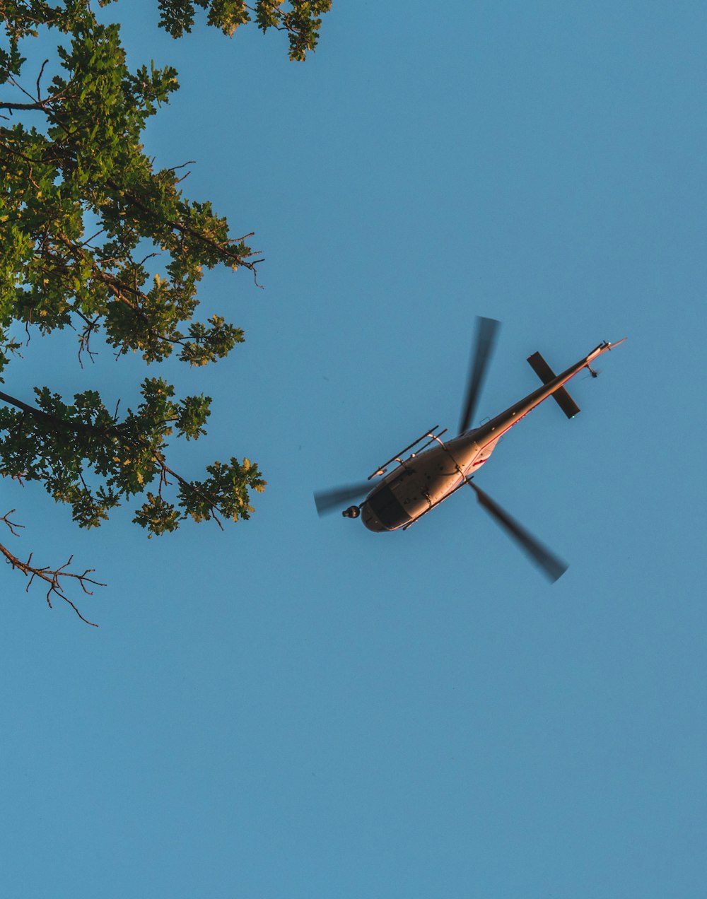 helicóptero cinza