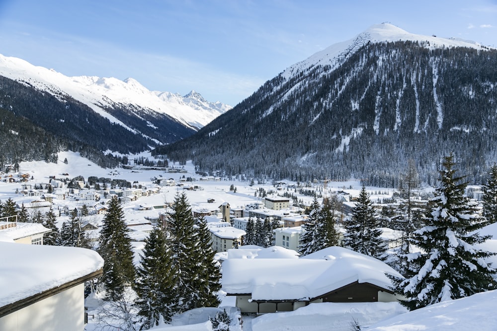 Casas cubiertas de nieve