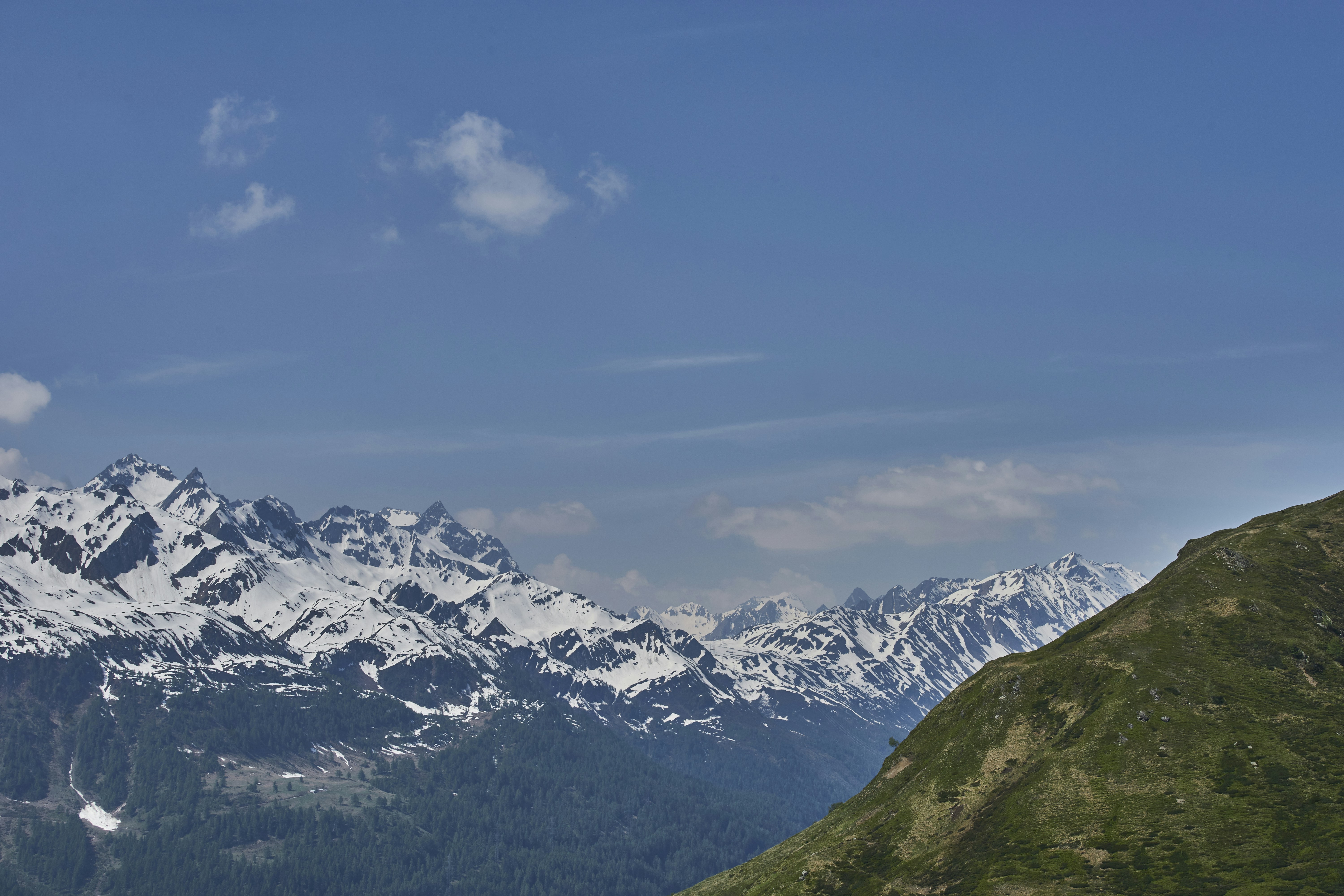 Photo by wolfgang_hasselmann