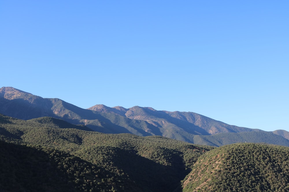 green trees covered hills in horizon